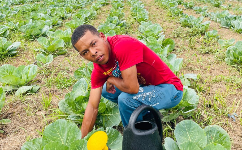 Provide nutrition for 500 families in South Africa