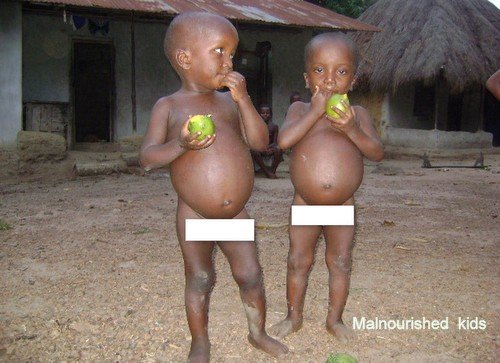 Community Poultry Farming Initiative Sierra Leone