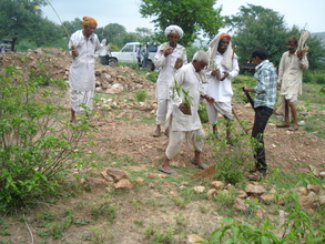 Community members planting trees on grazing lands