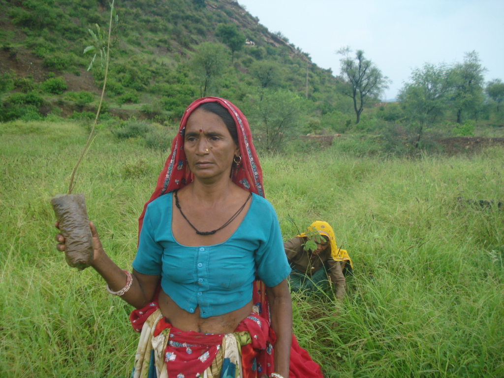 Pastoralist women plant tree on their common land