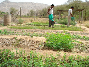 Photo-- tree nursery