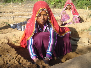 Tribal women raising tree saplings