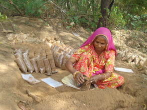 Preparation for growing medicinal plants