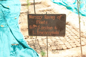 The Nursery
