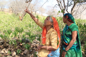 My guides as we walk through a restored land