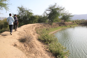 Walking on one of the rainwater harvesting bunds