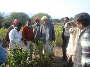 Training to pastorlasits on ethno – veterinary