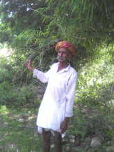 Pastoralists managed to stop deforestation