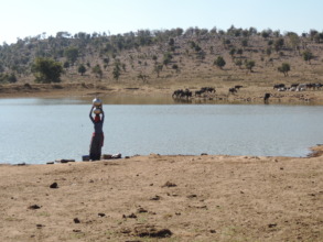 Pastoralist woman also care  livestock & water
