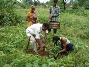 Planting fruit trees at KRAPAVIS oran