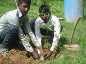 Community members planting trees