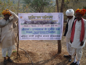 Sacred Grove Festival