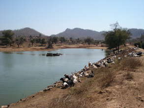Orans protect watersheds in Dry Rajasthan