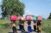 Stop deforestation and restore community lands