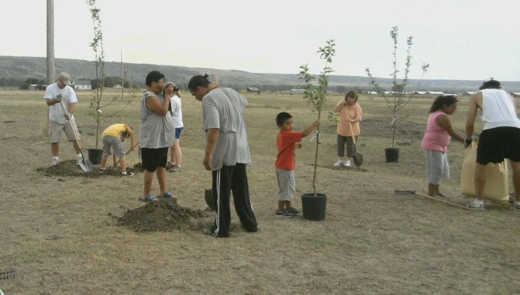 Trees for Tribes