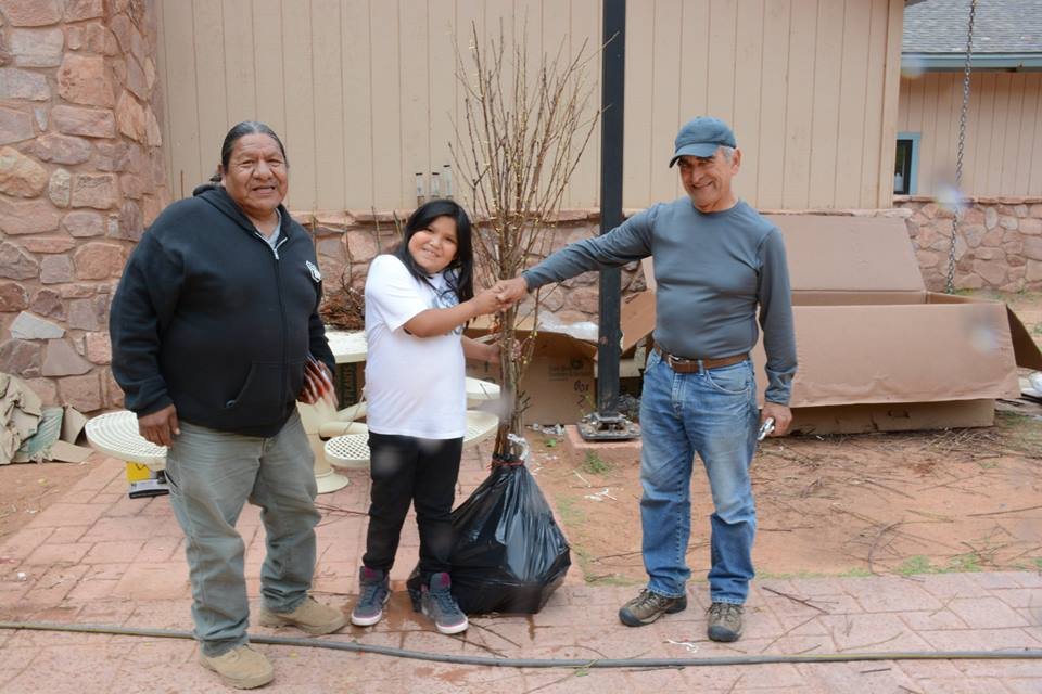 Trees for Tribes