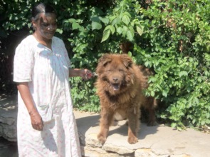 Senior citizen with her outdoor dog.