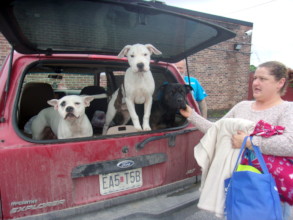 People and 3 dogs living in their truck.