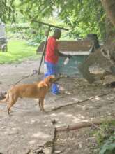 Spraying for insects relieves suffering.