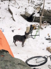 A nursing momma in a homeless camp.