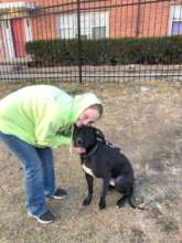 We spayed Angel for free and still help with food.