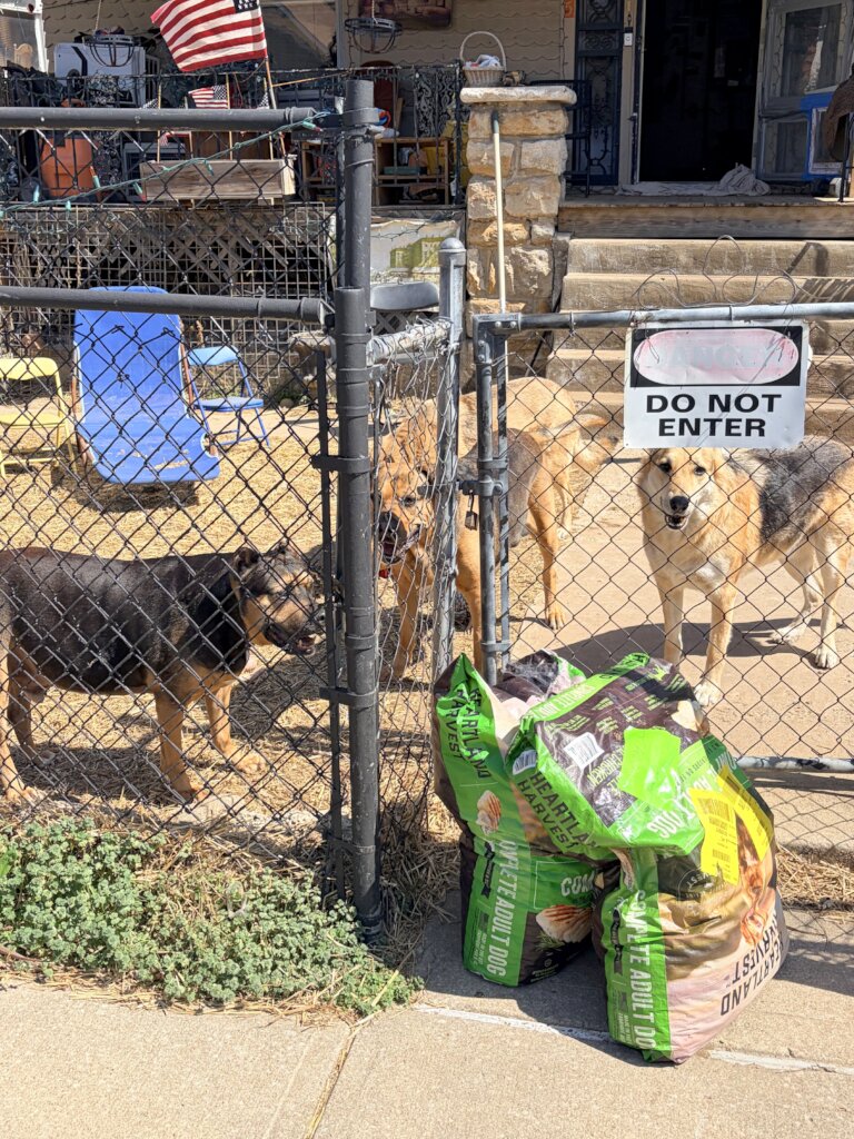 Samuel has 5 dogs and needs help.