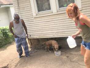 Helping this senior care for his dogs.