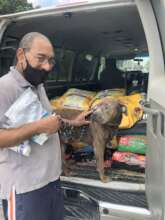 Bruno loves to get in the van and shop!