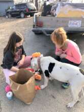 Rambo picking out a new toy!