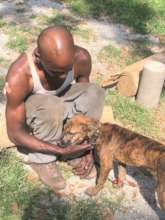 This homeless man's puppy had parvo.