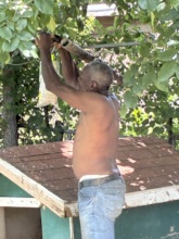 We taught a Senior citizen how to hang a fly trap!