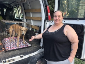 Thank you, Teresa, for letting us spay Lady!