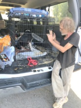 Bud needed help getting his pit bulls spayed!