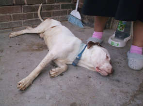 as we found him at the home.