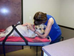 Cubby, 14, in her final moments