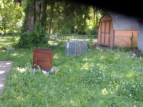 The shed they were hiding under