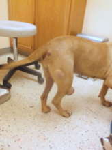 her tumors