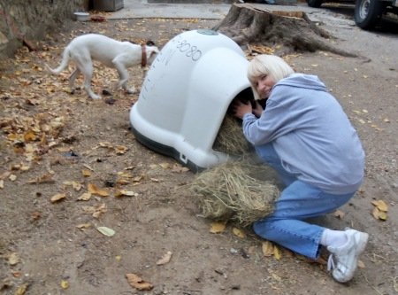 End animal suffering in KCMO urban core