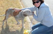 End animal suffering in KCMO urban core