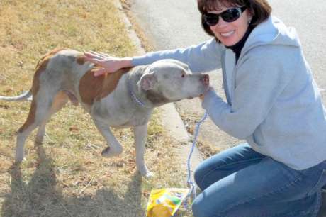 End animal suffering in KCMO urban core