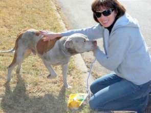 End animal suffering in KCMO urban core