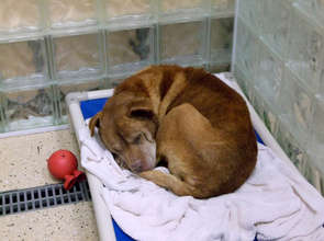 Reggie settled in, the start of his new life.