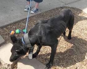 Gretchen, severely undernourished