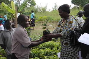 NEMA representative handing over fruit trees