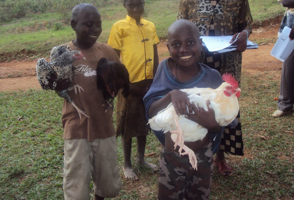 Chicken for 100 orphans in Buwunga sub county