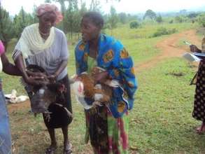 Mothers receive chicken for their children