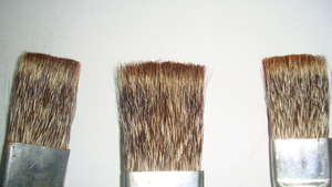 Mongoose hair brushes