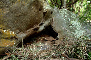 Hiding place for supplies during a poaching trip