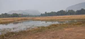 Grasslands of Bandhavgarh Tiger Reserve