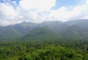 Meghamalai Wildlife Sanctuary